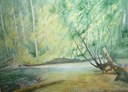 Flusslandschaft Flusslandschaft